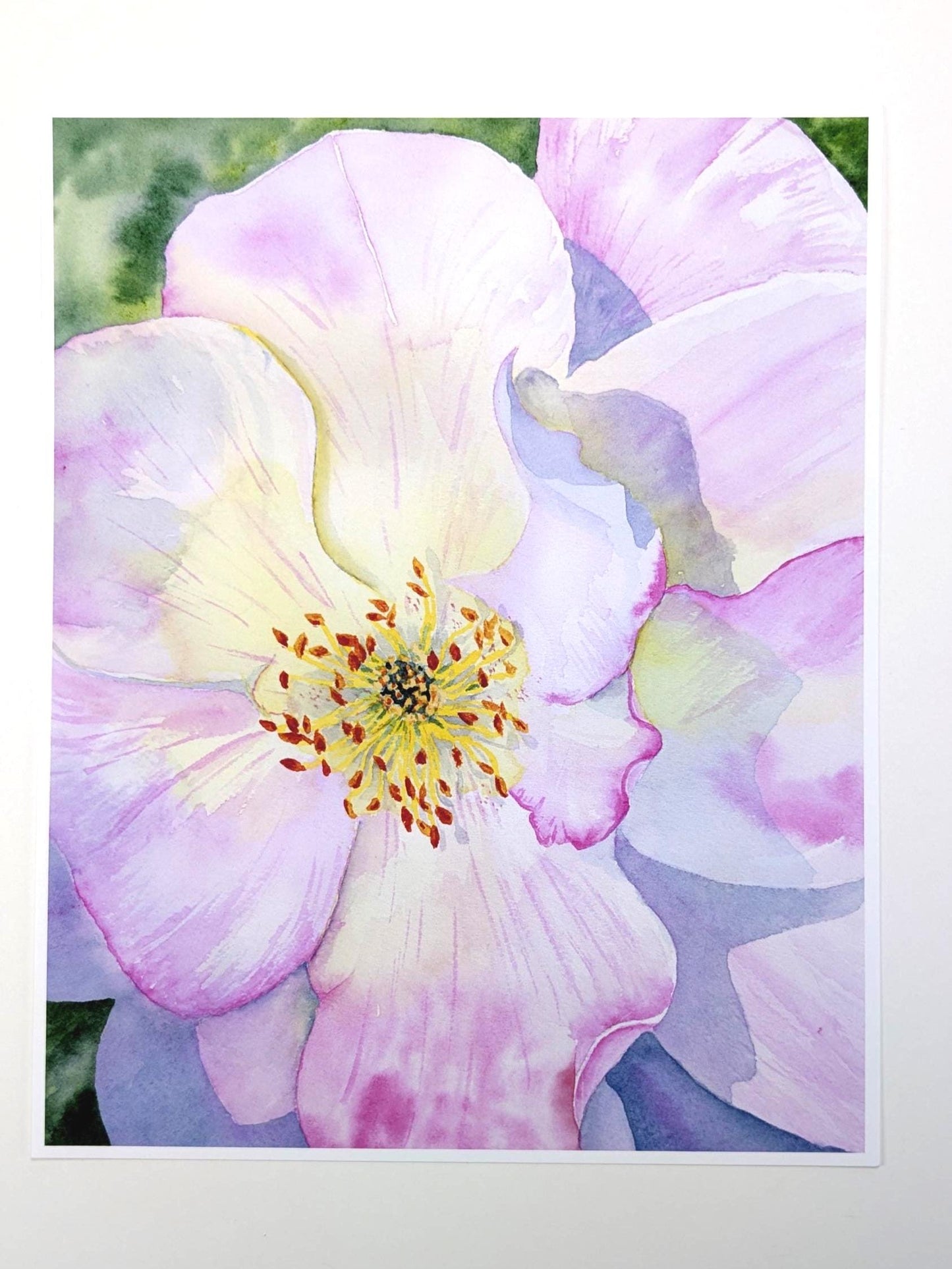 Rose Watercolor Print 8"X10"