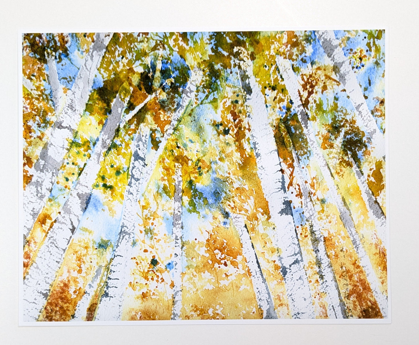 Painting of birch trees with autumn foliage on a white background