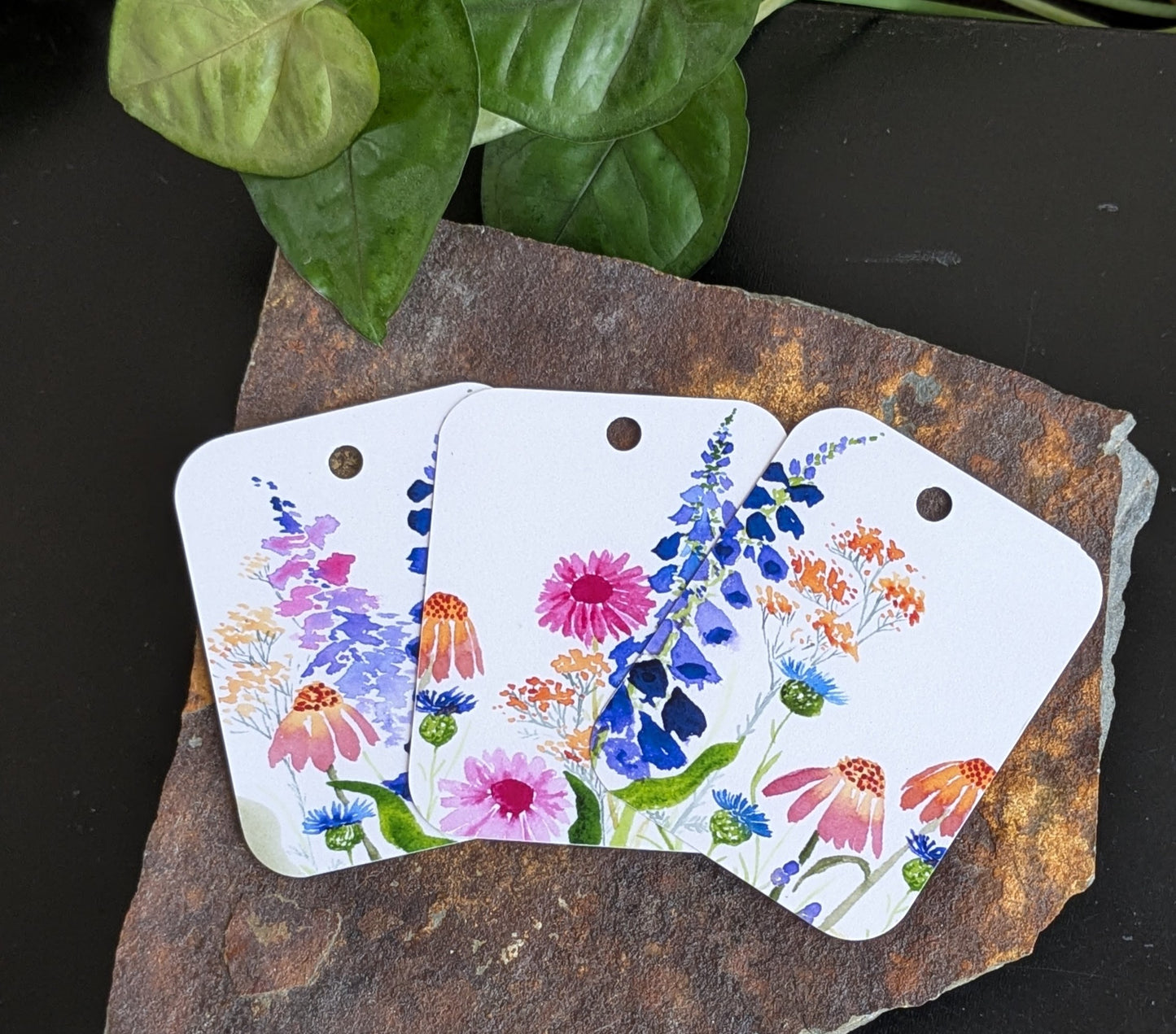 Wildflower Gift Tags, Set of 6