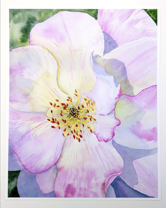 Rose Watercolor Print 8"X10"
