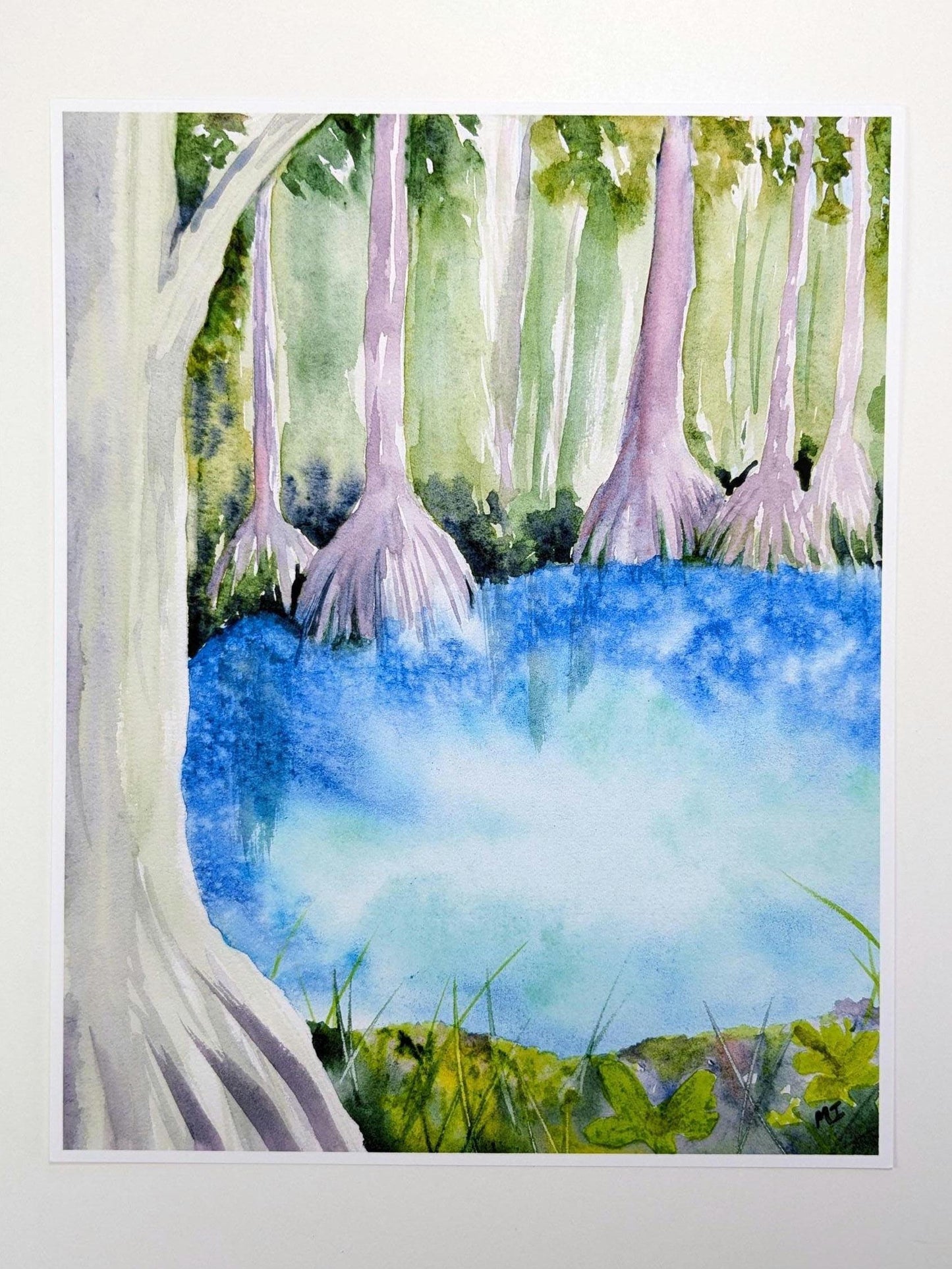 Cypress by the Spring Watercolor Print 8"X10"