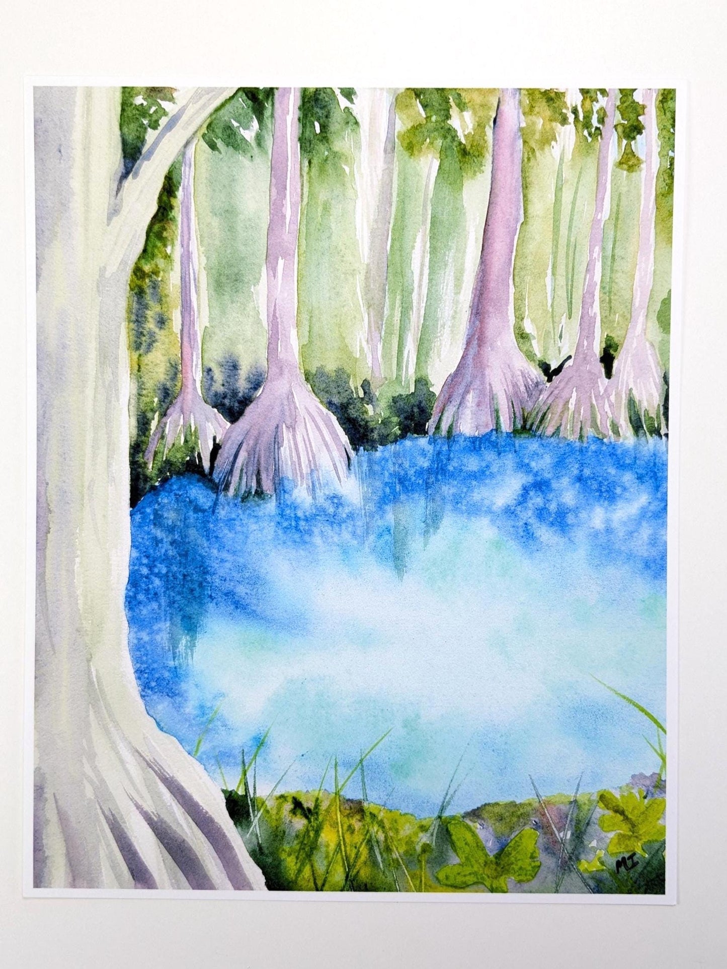 Cypress by the Spring Watercolor Print 8"X10"