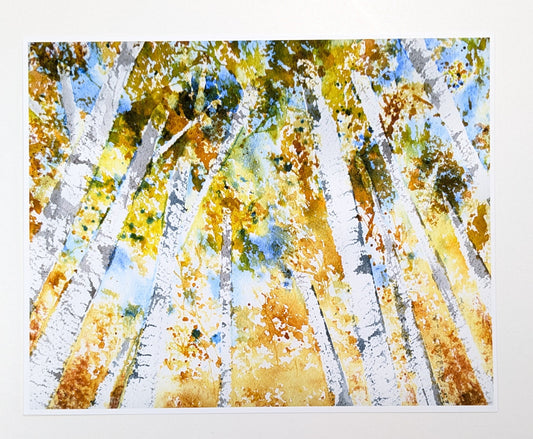 Painting of birch trees with autumn foliage on a white background